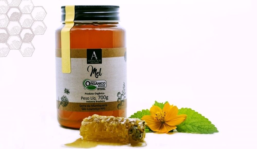 Mel Orgânico Pote 700g - Amantikir