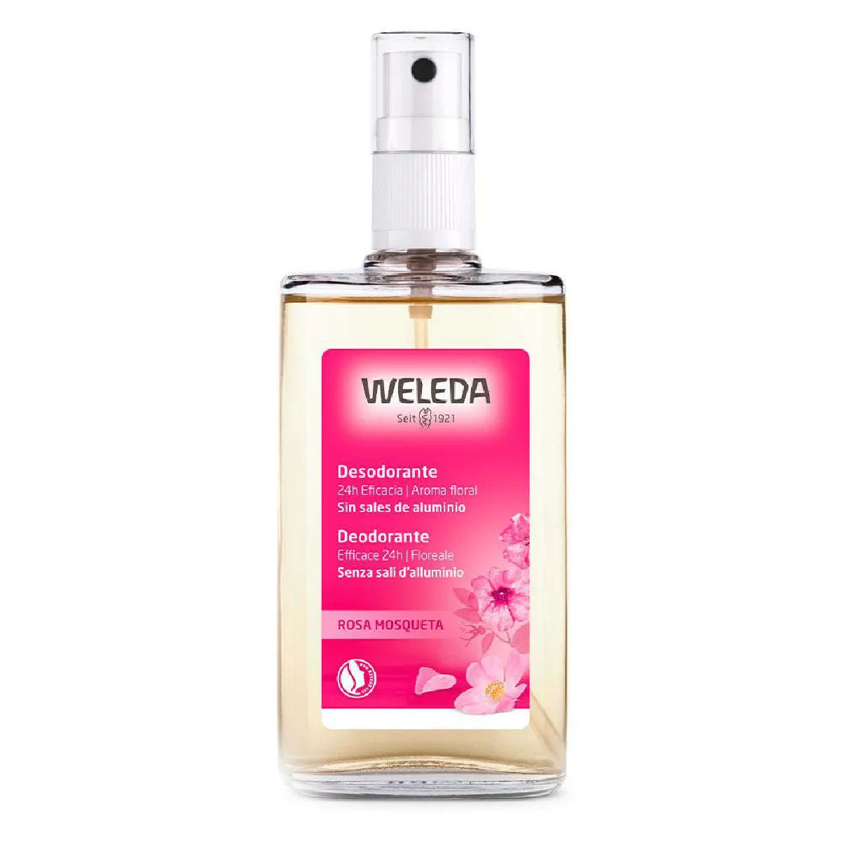 Desodorante Spray Weleda Rosa Mosqueta 100ml