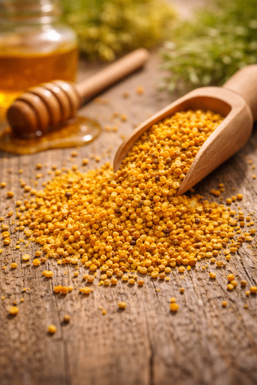 Pólen Apícola Desidratado Amantikir 110g