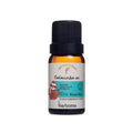 Blend de Óleos Essenciais Kids Calminha Aí Via Aroma 10ml