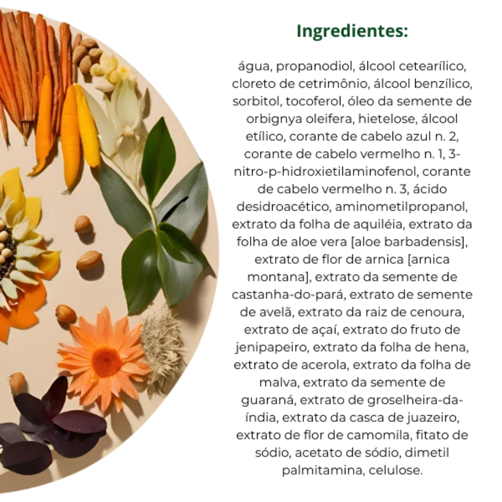Henna Creme Surya Brasil Marsala 70ml