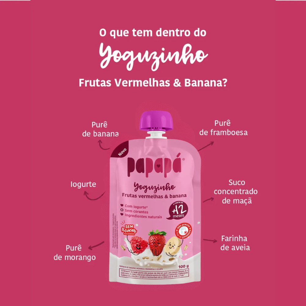 Kit 5 uni Papapa Yoguzinho Iogurte Frutas Vermelhas e Banana 100g+12Meses