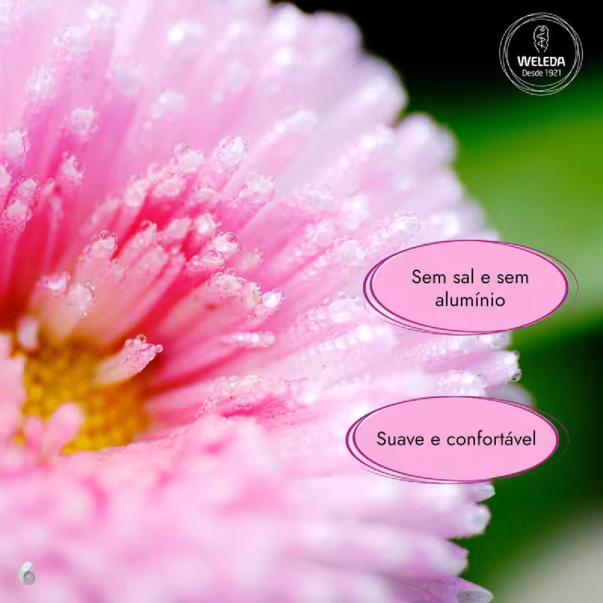 Desodorante Spray Weleda Rosa Mosqueta 100ml