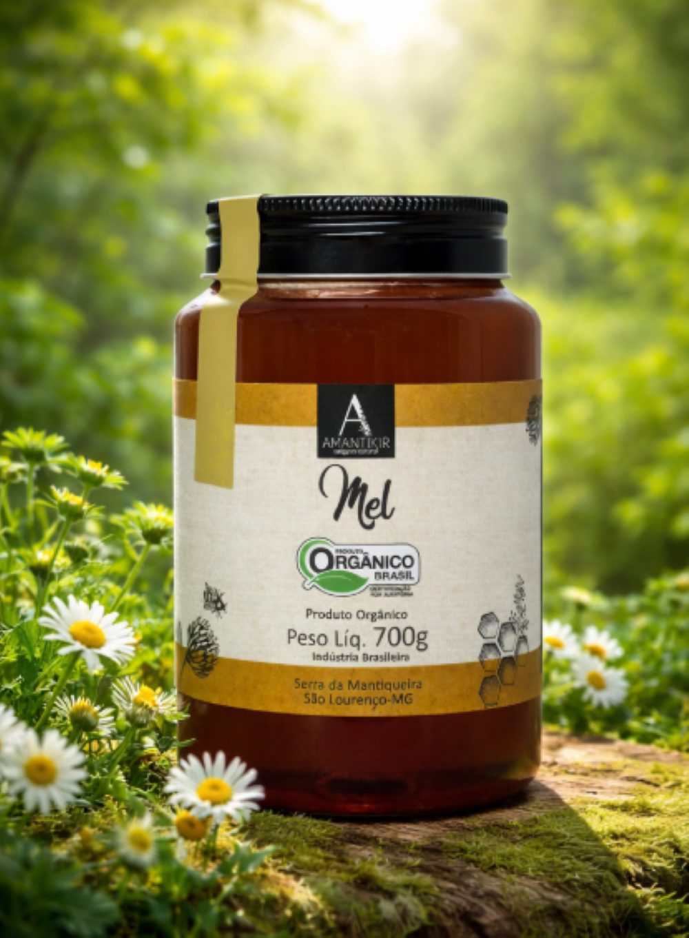 Mel Orgânico Pote 700g - Amantikir