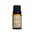 Oleo Essencial Tea Tree Melaleuca Via Aroma 10ml 100% Puro Vegano