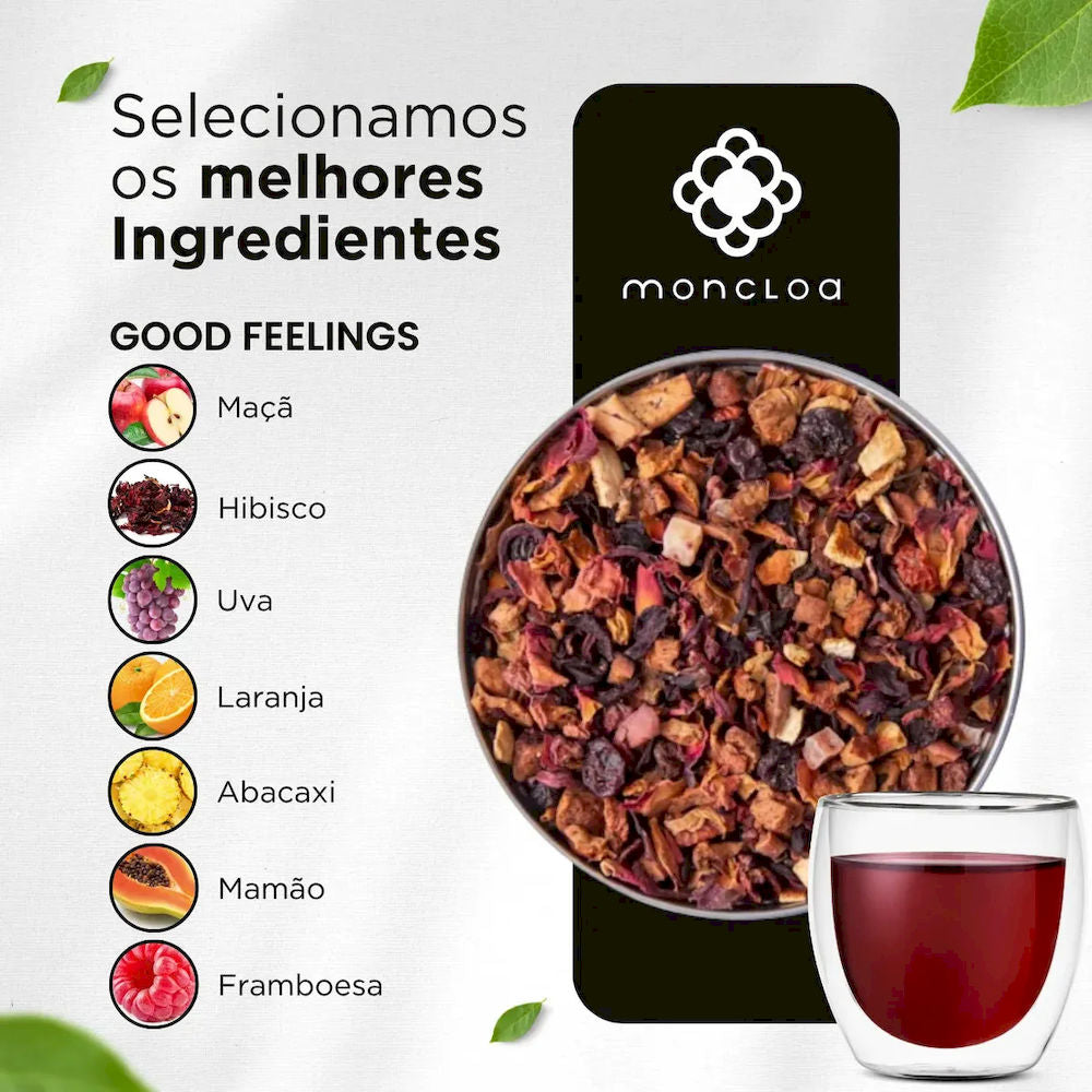 Chá Infusão de Frutas Good Feelings Moncloa Mini Lata 15g